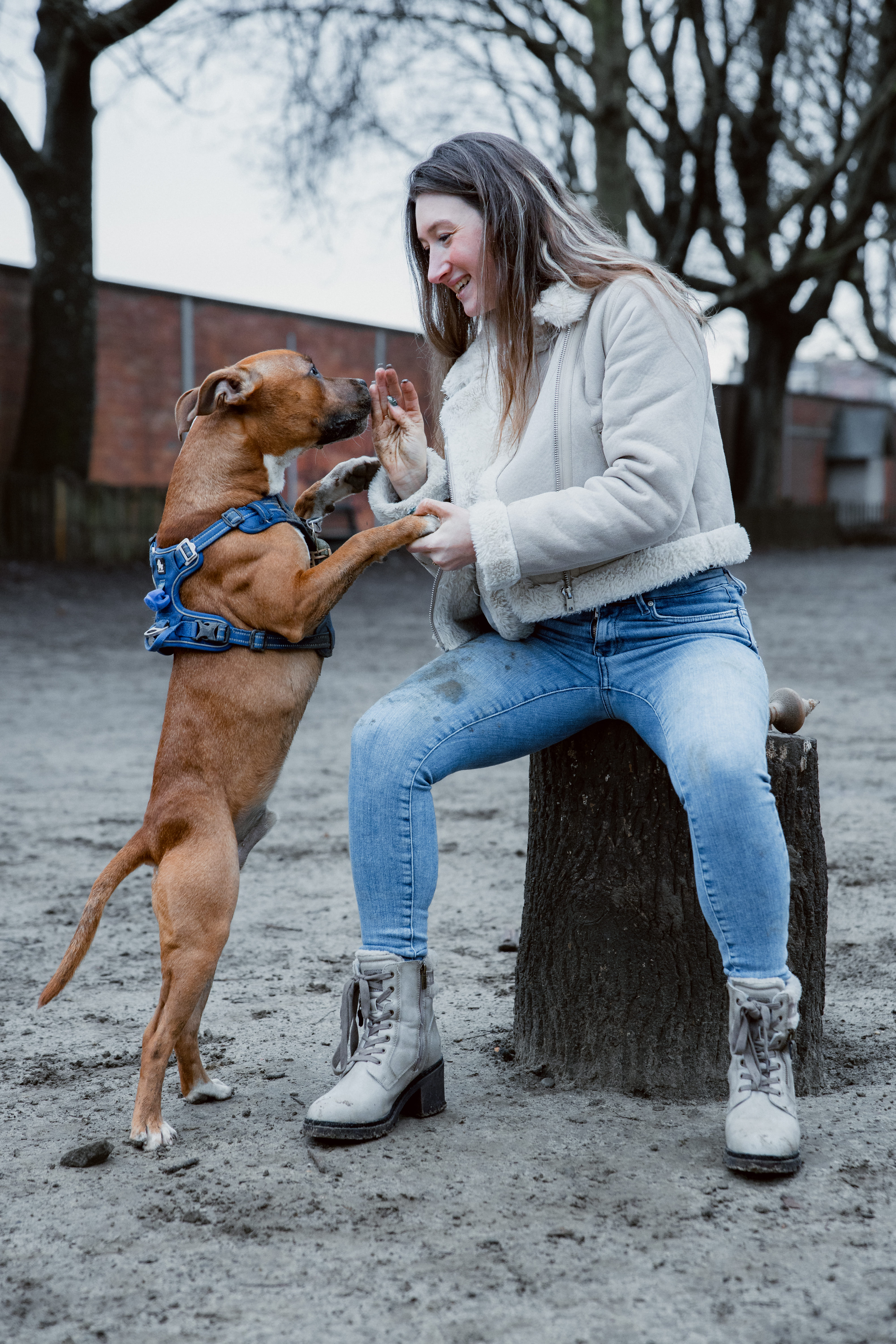 dog
